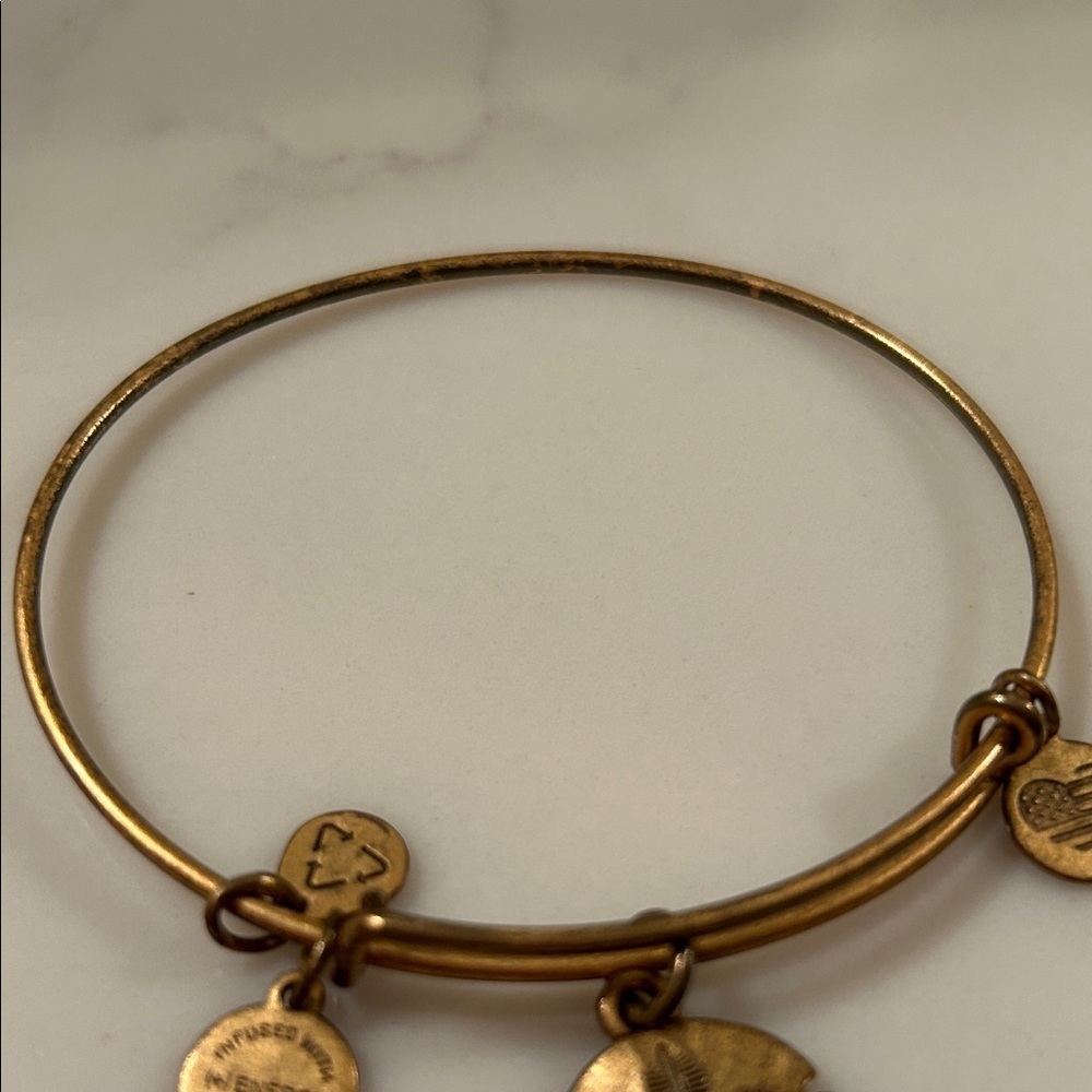 alex and ani Gold Charm Bangle Bracelet - Picture 4 of 4